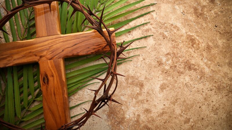 Palm Sunday 2026