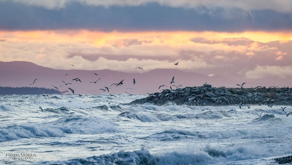 Lenten Litany of Fasting and Feasting