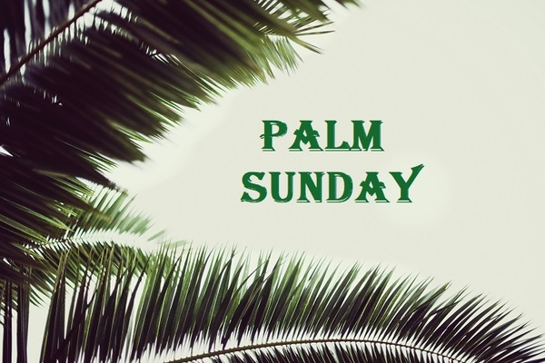 This Sunday's Readings and Order of Service