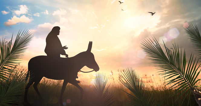 “Conclusion: Living Truth”