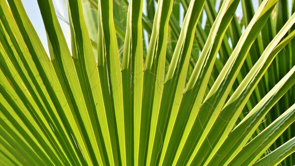 March 29 Combined Worship Service