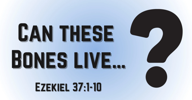 Can These Bones Live...?