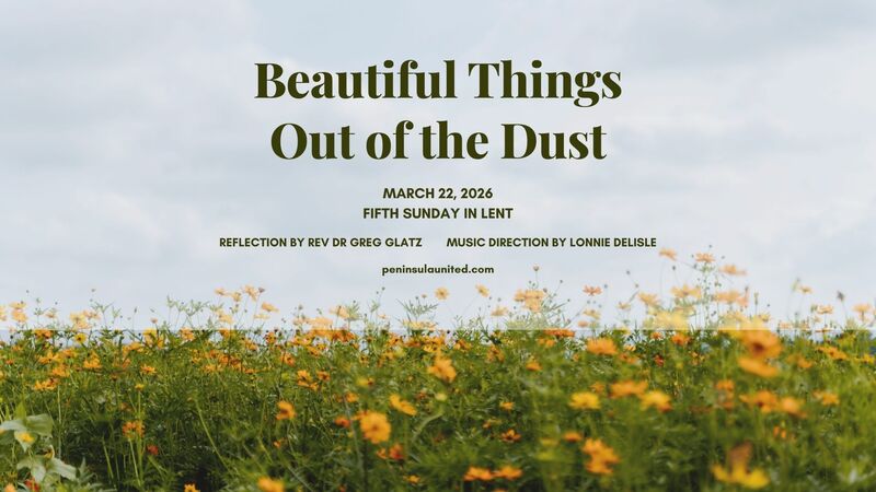 Beautiful Things Out of Dust