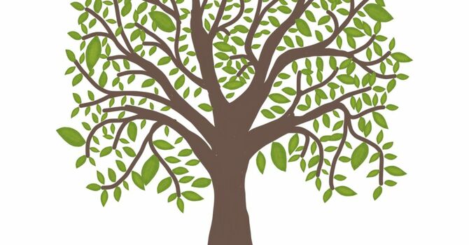 Adult Ministry
