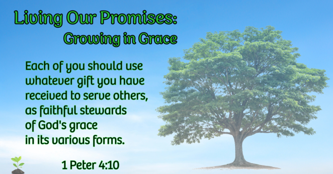 November 23, 2025- Service & Witness 