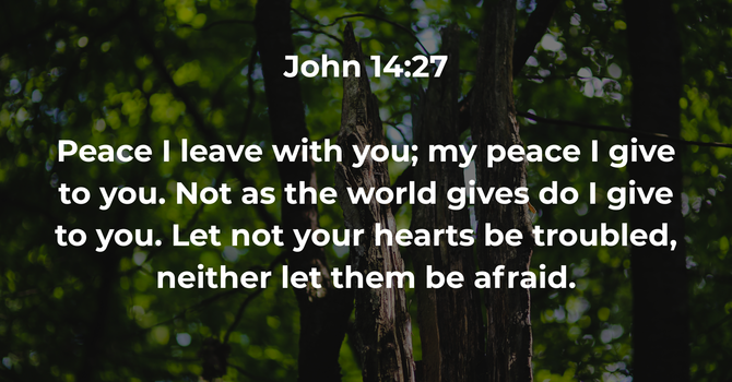 John 14:27 image