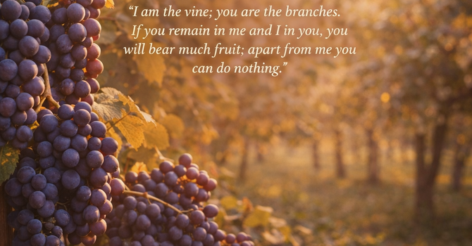 Stay Connected, Stay Growing image