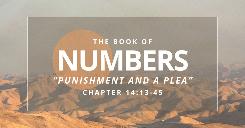 Punishment and a Plea