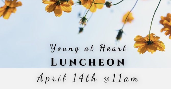 Young@Heart Senior Luncheon