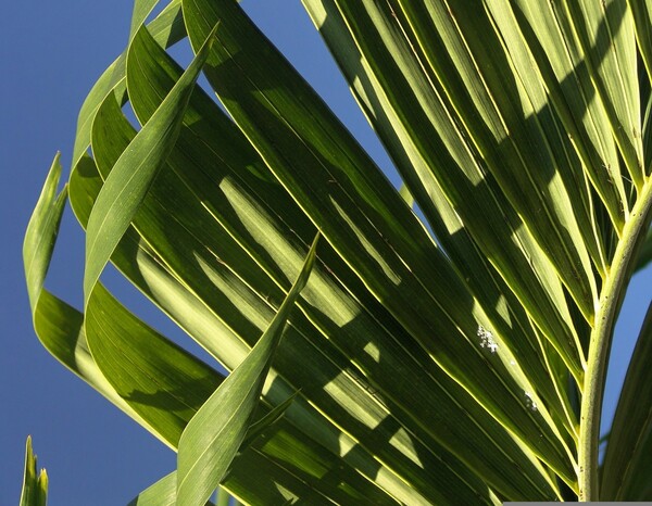 The week of March 29, 2026