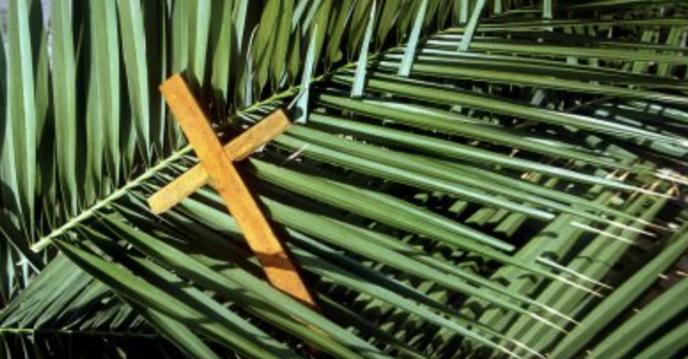 Palm Sunday