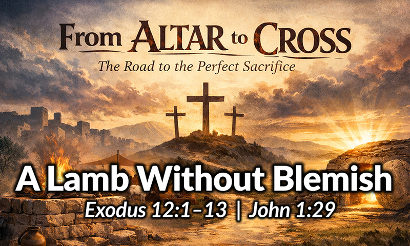 A Lamb Without Blemish