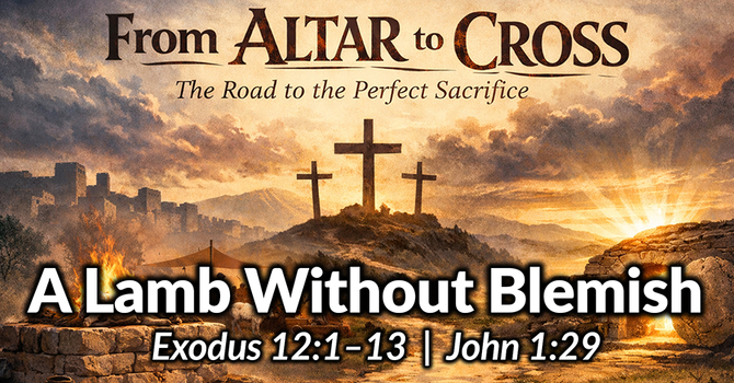 A Lamb Without Blemish