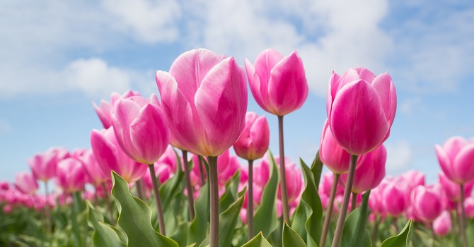 March 28, 2026 Devotion image