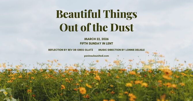 Beautiful Things Out of Dust