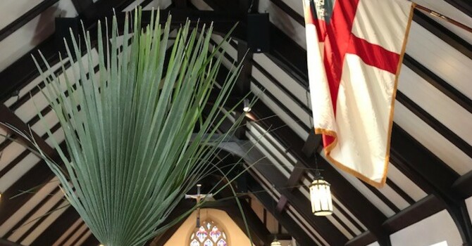 10:30 am Bulletin for      March 29, 2026 image