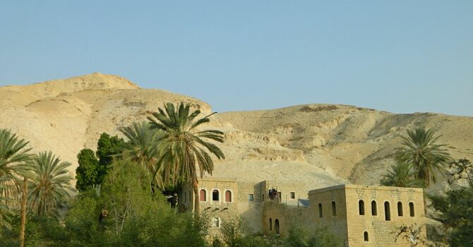 From Palms to Persecution