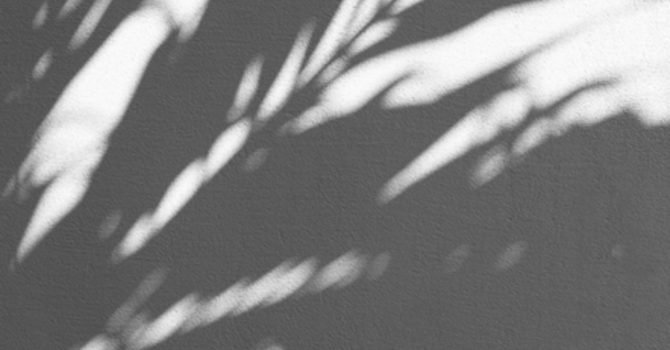 Rev. Karen's Reflection for Palm Sunday, 2026