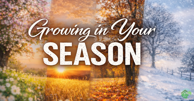 Growing in Your Season