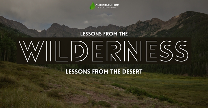 Lessons from the Desert