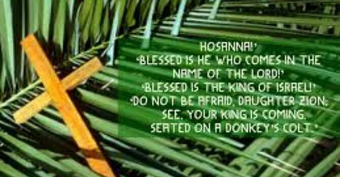 His Triumphal Entry?