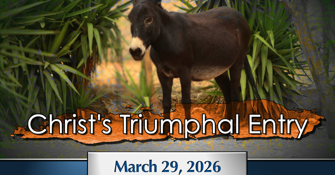 Christ's Triumphal Entry