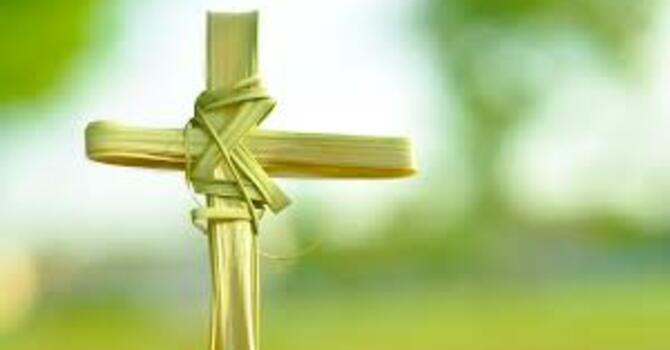 Palm Sunday Sermon image