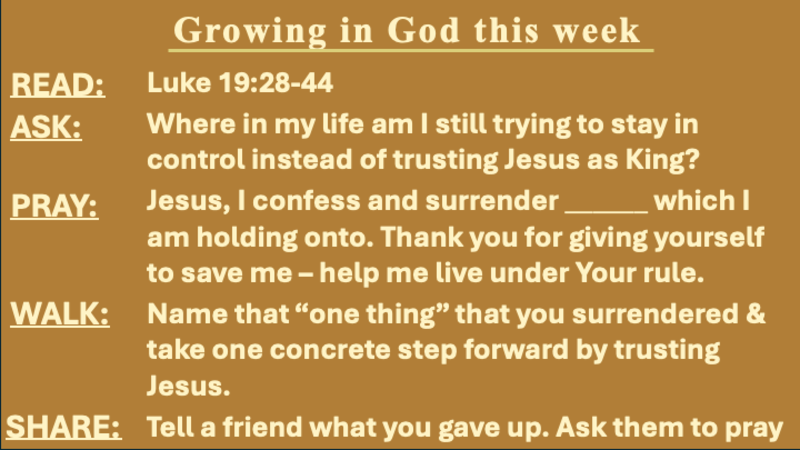  Jesus: The True and Better King