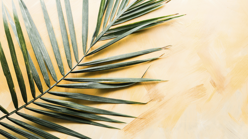What is Palm Sunday?