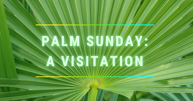 Palm Sunday: A Visitation