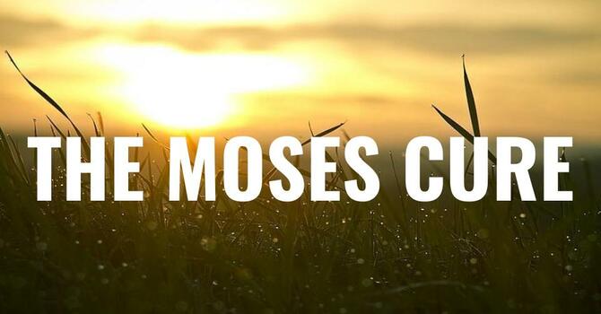 The Moses Cure - Bro. Doerflinger