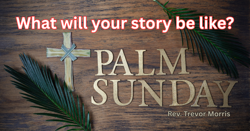 What will your story be like?