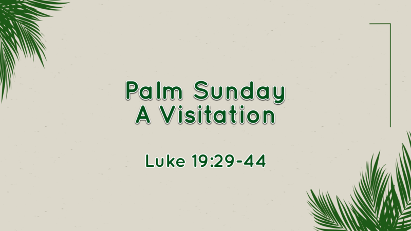 Palm Sunday - A Visitation