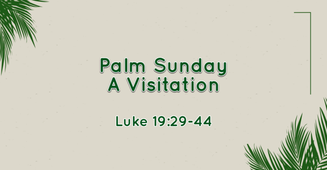 Palm Sunday - A Visitation