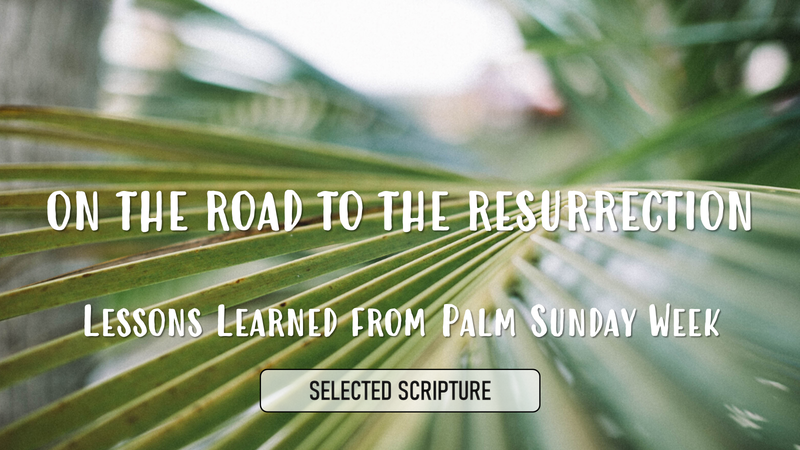 On The Road To The Resurrection : Lessons Learned From Palm Sunday Week