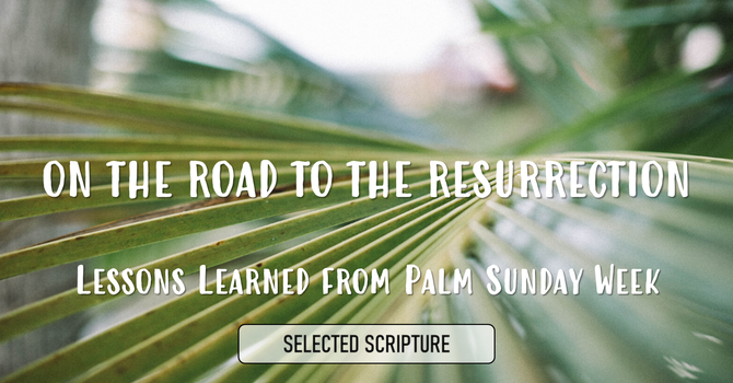 On The Road To The Resurrection : Lessons Learned From Palm Sunday Week