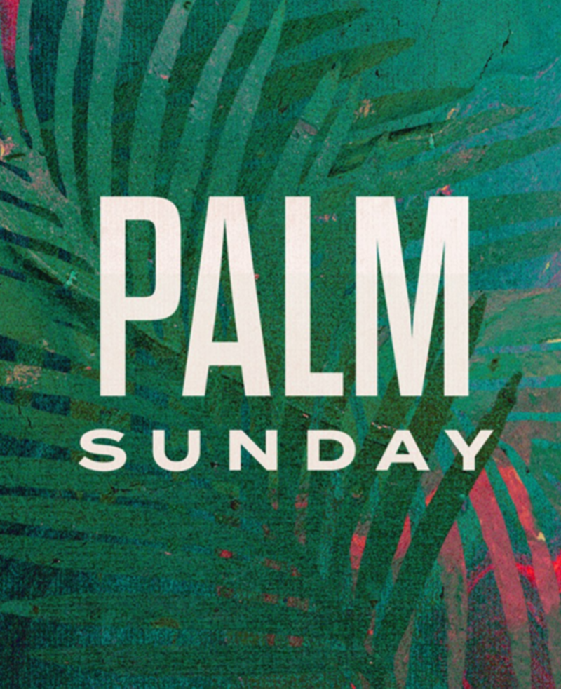 With Moments of Reflection