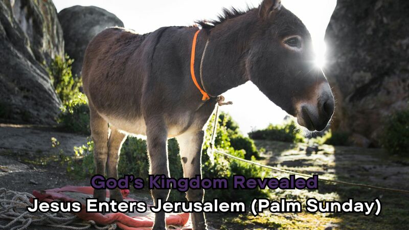 Jesus Enters Jerusalem
