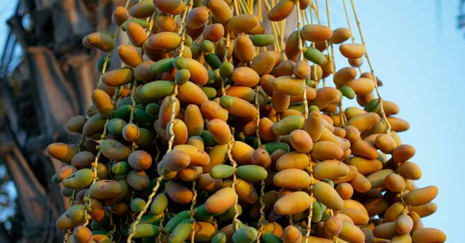 They didn't succeed image