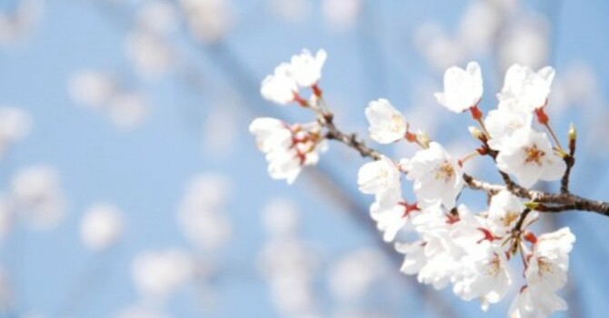 Spring News & Activities image