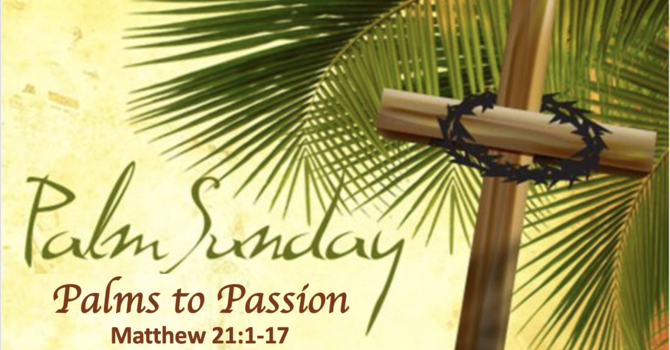 Palms to Passion
