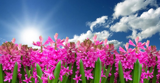 March 30, 2026 Devotion image