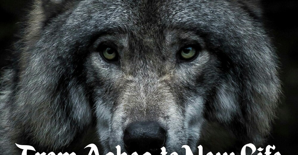 Maundy Thursday - April 2, 2026