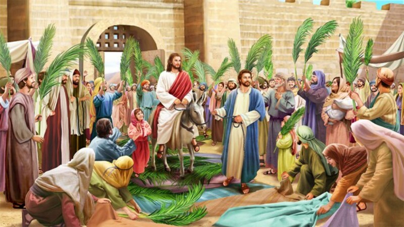 Jesus, The King Who Must Be Recognised