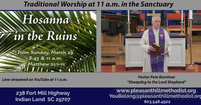 "Hosannas in the Ruins"