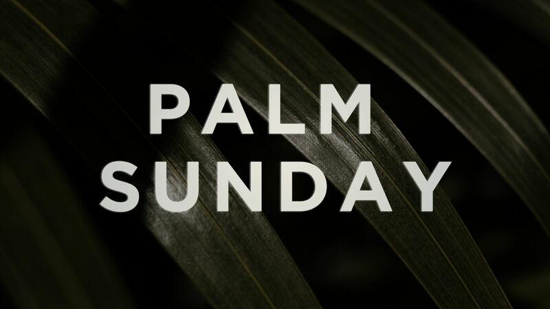 Palm Sunday 2026