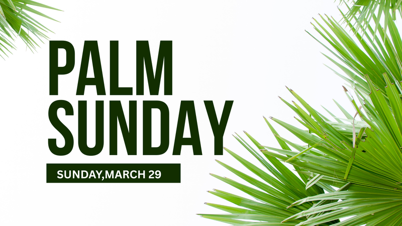 Palm Sunday! 