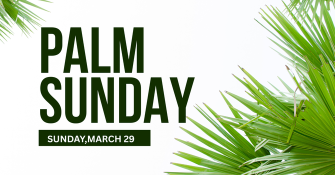 Palm Sunday! 