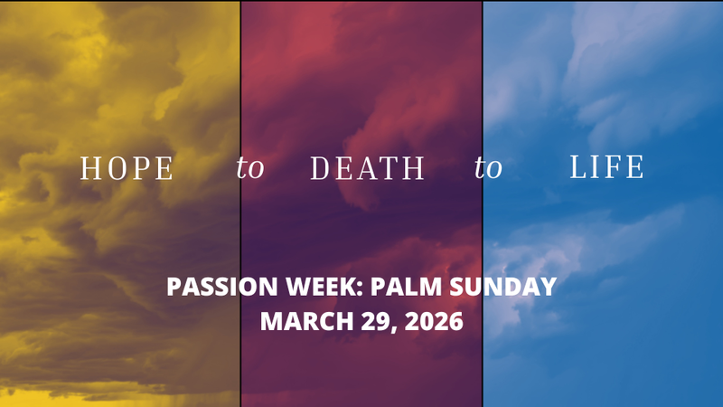 Passion Week | Palm Sunday