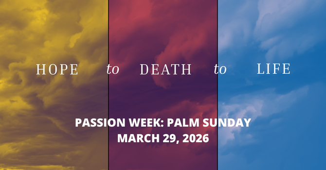 Passion Week | Palm Sunday